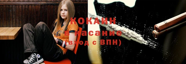 молекула духа Гусиноозёрск