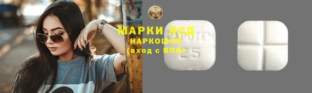 молекула духа Гусиноозёрск