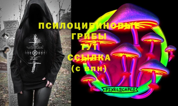 молекула духа Гусиноозёрск