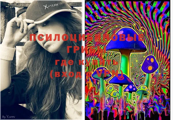 марки lsd Гусь-Хрустальный