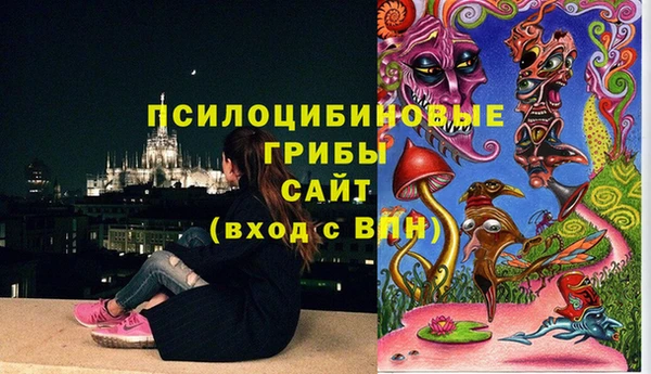 молекула духа Гусиноозёрск
