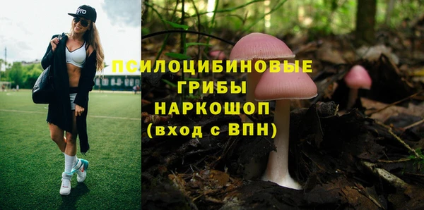 молекула духа Гусиноозёрск