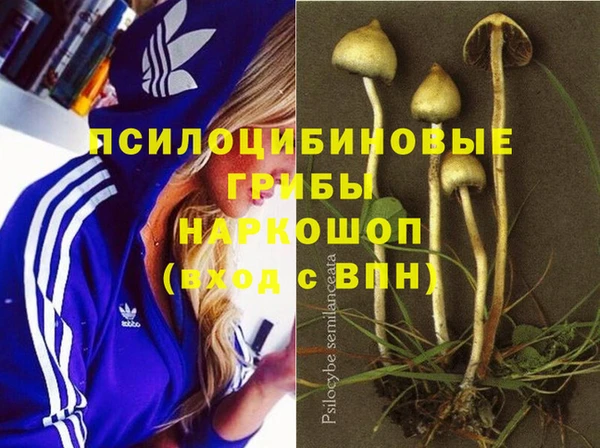 марки lsd Гусь-Хрустальный