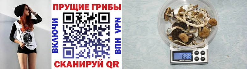 Галлюциногенные грибы прущие грибы  наркота  Задонск 